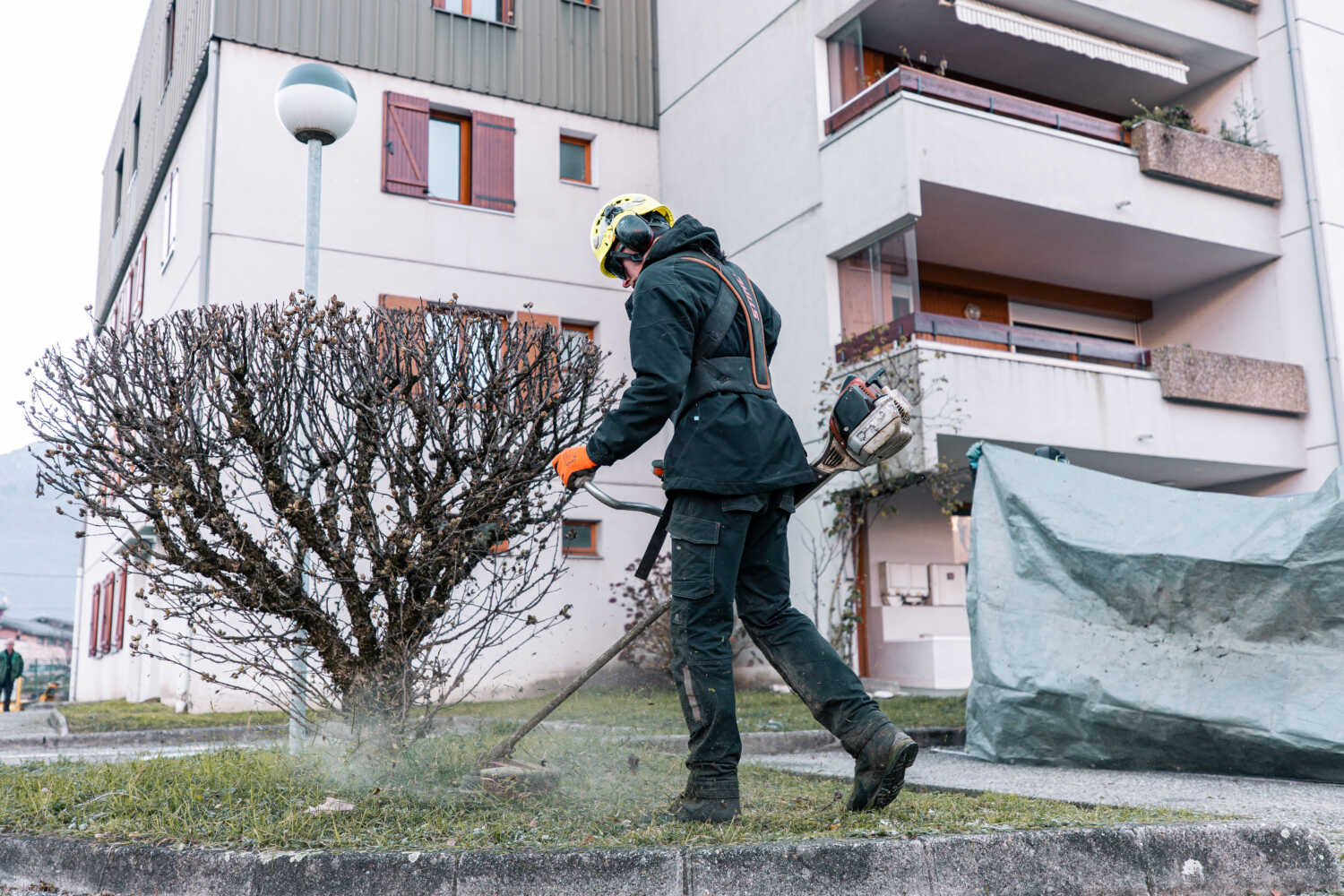Photo d'un paysagiste entrain d'entretenir un arbuste