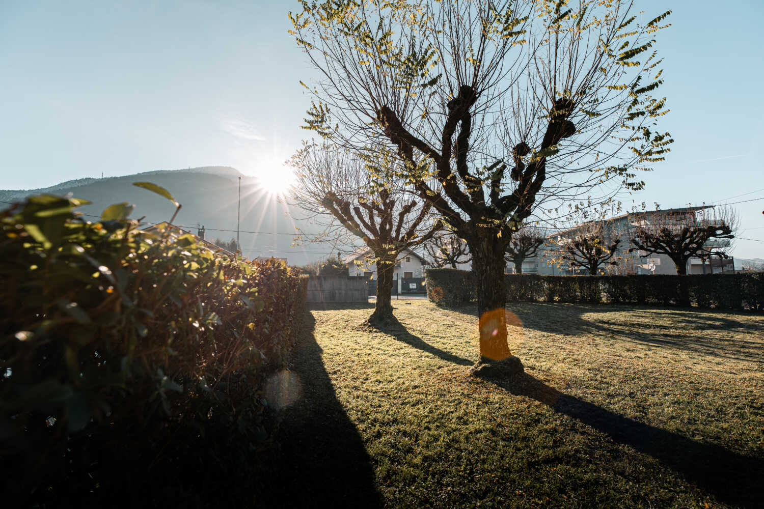 Photo de l'entretien d'un espace vert réalisé par l'entreprise Cordier Yann