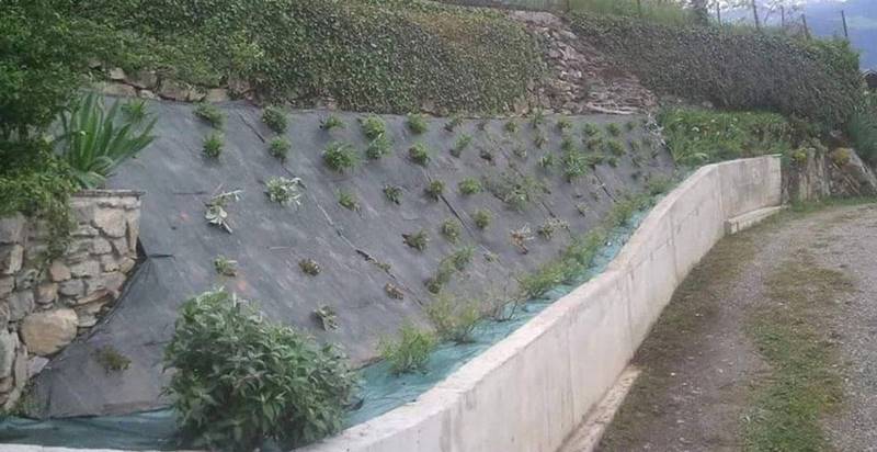 Photo de l'entretien d'un espace vert