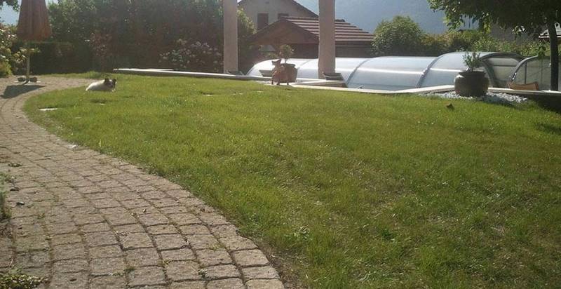 Photo de l'entretien paysager d'un jardin en Savoie
